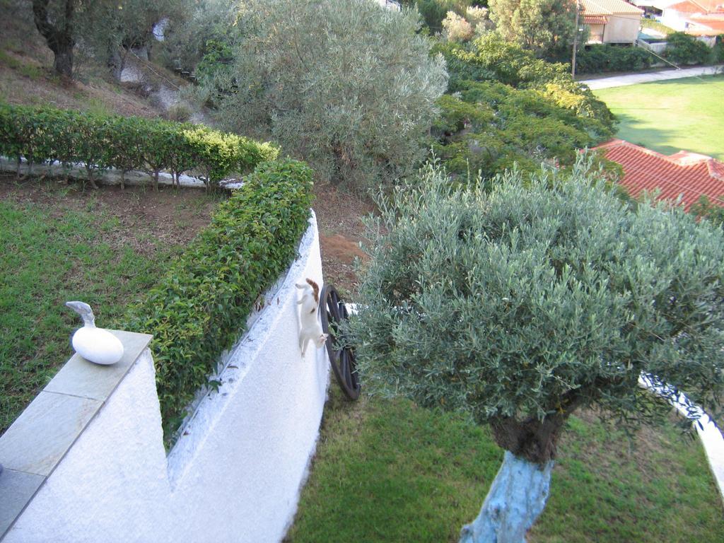 Villa Frideriki Agia Paraskevi  Room photo